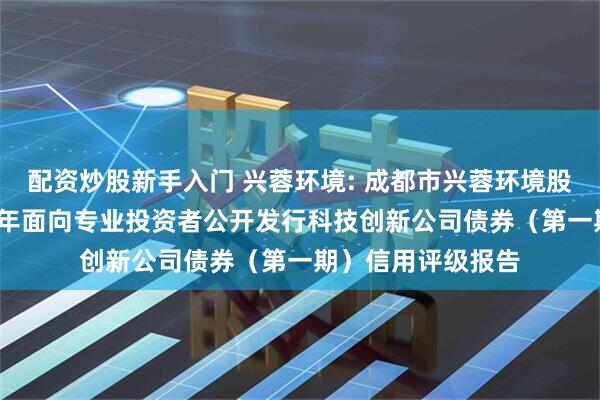 配资炒股新手入门 兴蓉环境: 成都市兴蓉环境股份有限公司2025年面向专业投资者公开发行科技创新公司债券（第一期）信用评级报告