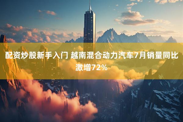配资炒股新手入门 越南混合动力汽车7月销量同比激增72%