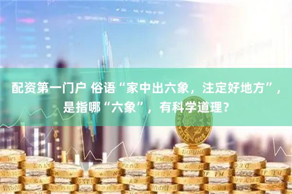 配资第一门户 俗语“家中出六象，注定好地方”，是指哪“六象”，有科学道理？